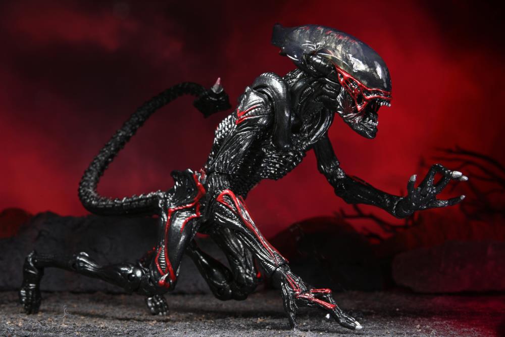 Aliens Kenner Tribute Night Cougar Alien Gallery Image 4