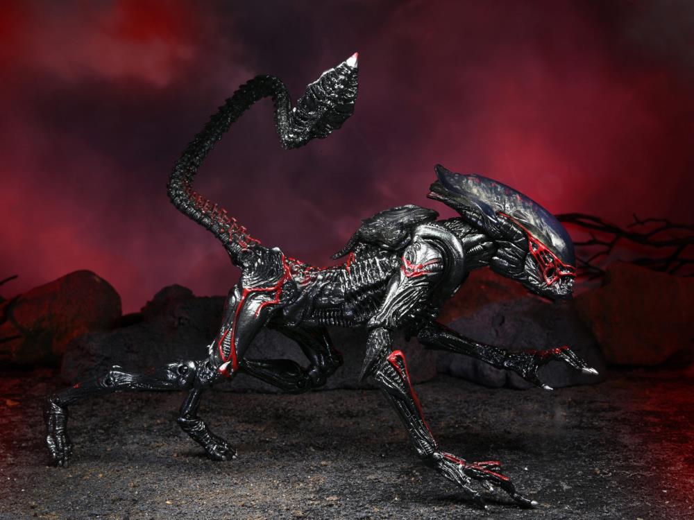 Aliens Kenner Tribute Night Cougar Alien Gallery Image 12