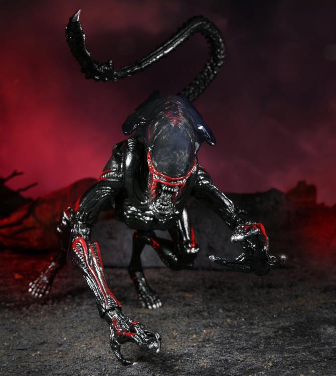 Aliens Kenner Tribute Night Cougar Alien Gallery Image 5