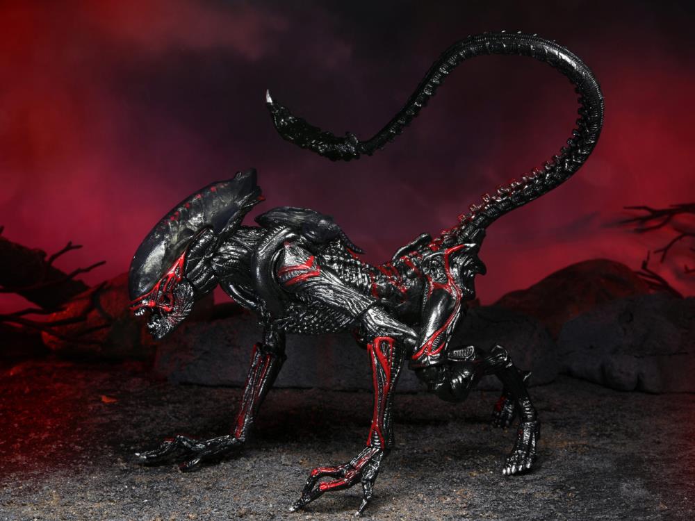 Aliens Kenner Tribute Night Cougar Alien Gallery Image 11