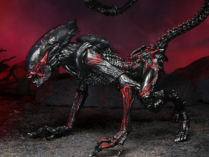 Aliens Kenner Tribute Night Cougar Alien Gallery Image 1