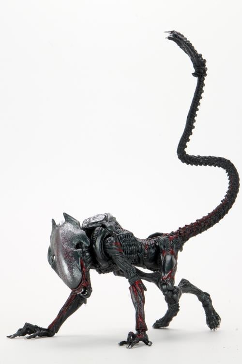Aliens Kenner Tribute Night Cougar Alien Gallery Image 13