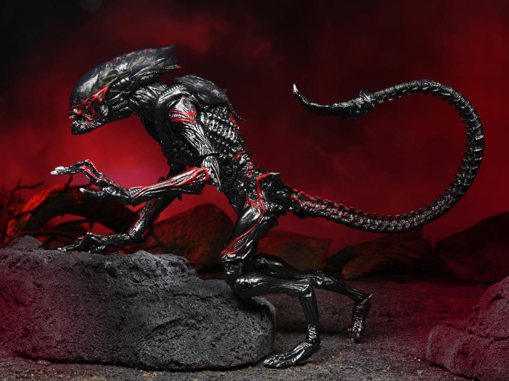 Aliens Kenner Tribute Night Cougar Alien Gallery Image 9