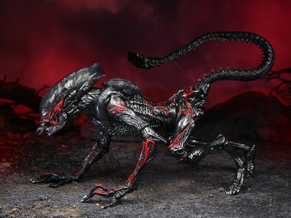 Aliens Kenner Tribute Night Cougar Alien Gallery Image 10