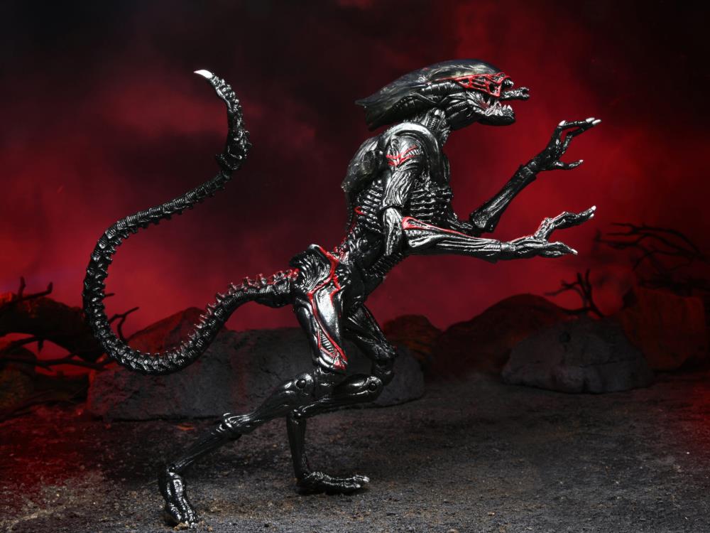 Aliens Kenner Tribute Night Cougar Alien Gallery Image 3