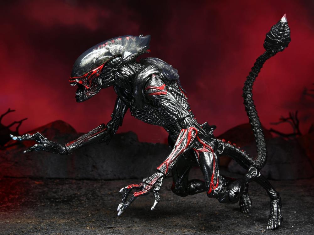 Aliens Kenner Tribute Night Cougar Alien Gallery Image 8