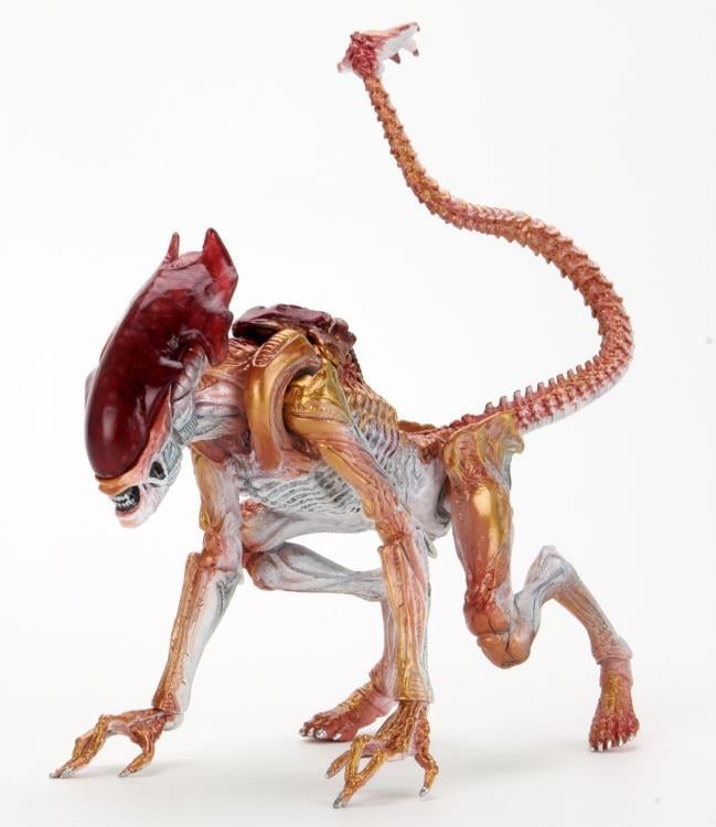 Aliens Kenner Tribute Panther Alien Gallery Image 13