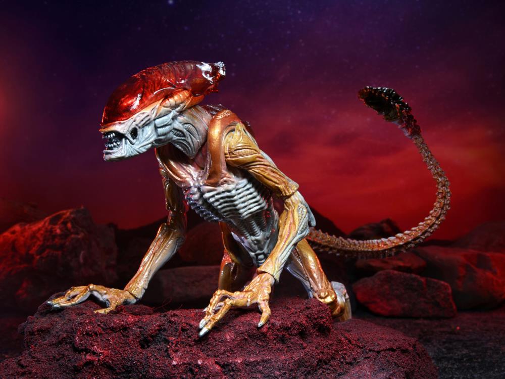 Aliens Kenner Tribute Panther Alien Gallery Image 12