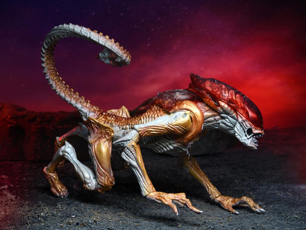 Aliens Kenner Tribute Panther Alien Gallery Image 3