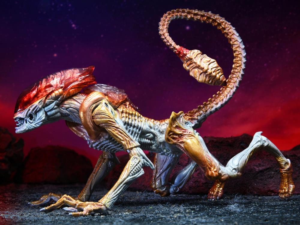 Aliens Kenner Tribute Panther Alien Gallery Image 7