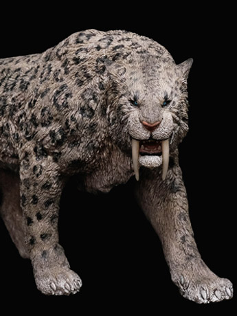 Smilodon Populator "Stray Cat" (Ice Age Ver.) Deluxe 1:11±1 Scale Museum Class Replica Gallery Image 2