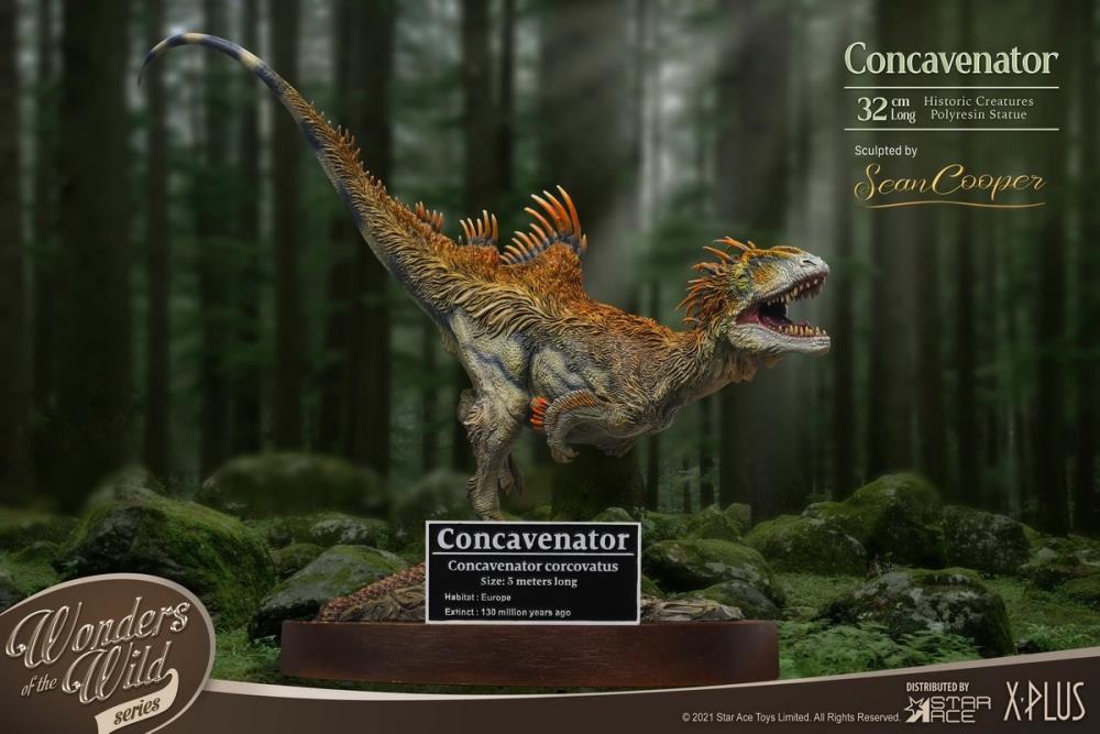 Wonders of the Wild Concavenator Statue Gallery Image 3