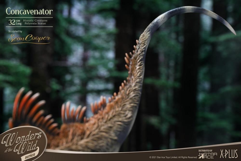 Wonders of the Wild Concavenator Statue Gallery Image 9