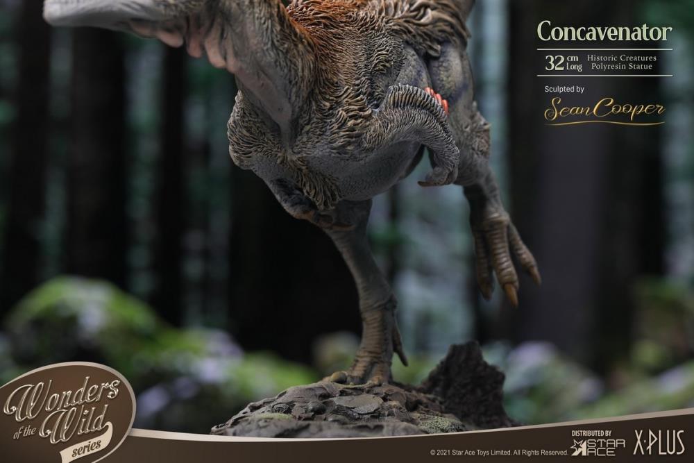 Wonders of the Wild Concavenator Statue Gallery Image 8