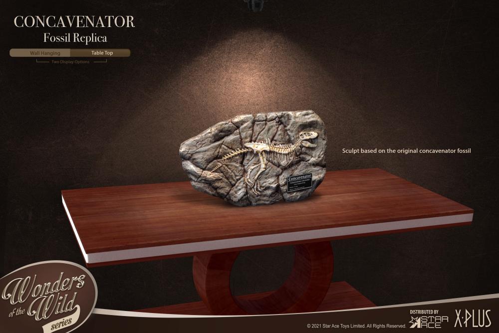 Wonders of the Wild Concavenator Fossil Replica Gallery Image 6