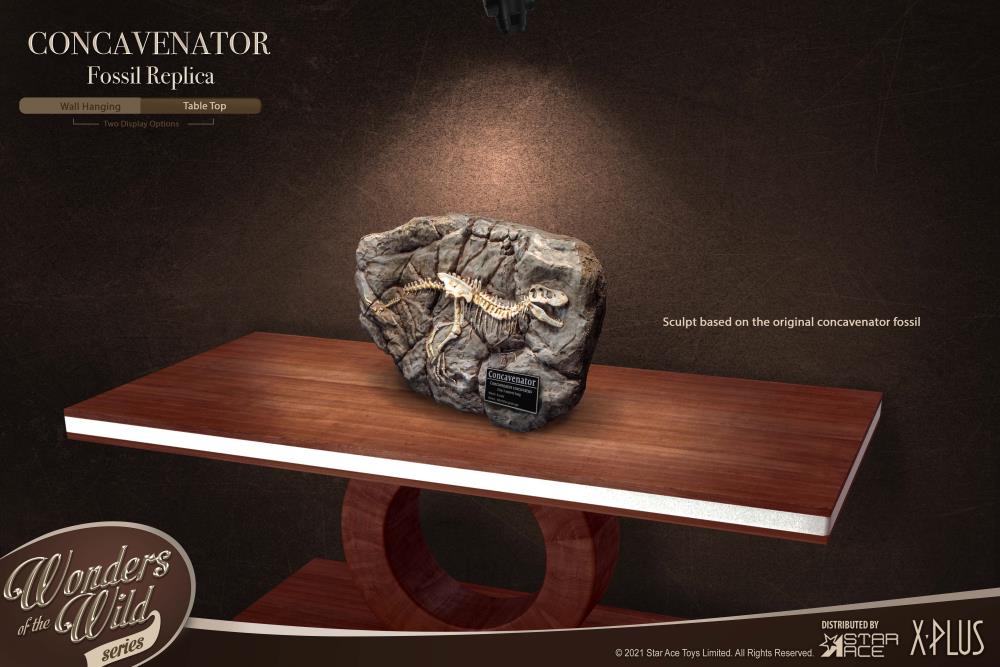 Wonders of the Wild Concavenator Fossil Replica Gallery Image 7