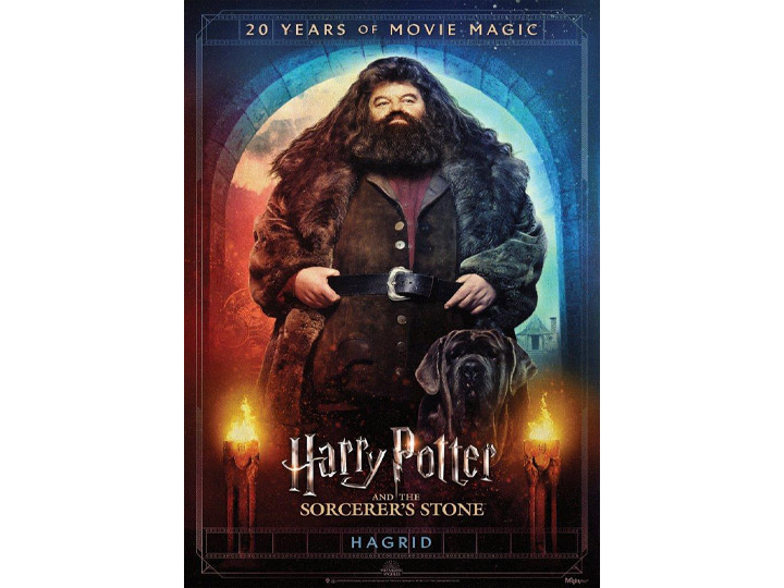 Harry Potter and the Sorcerer's Stone (Hagrid Movie Poster 20th Anniversary) MightyPrint Wall Art Gallery Image 1