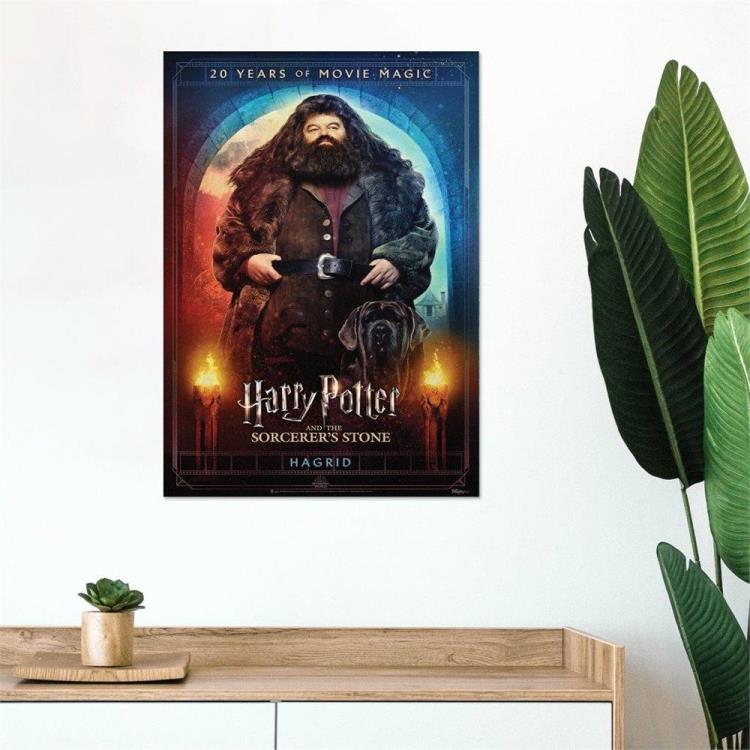 Harry Potter and the Sorcerer's Stone (Hagrid Movie Poster 20th Anniversary) MightyPrint Wall Art Gallery Image 4