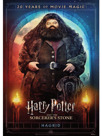 Harry Potter and the Sorcerer's Stone (Hagrid Movie Poster 20th Anniversary) MightyPrint Wall Art Gallery Image 2