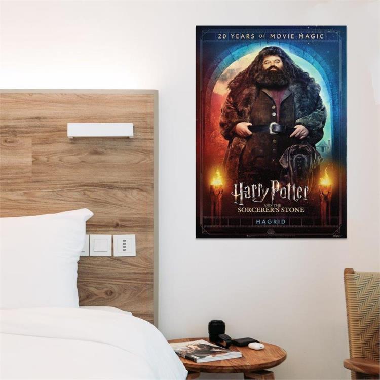 Harry Potter and the Sorcerer's Stone (Hagrid Movie Poster 20th Anniversary) MightyPrint Wall Art Gallery Image 3