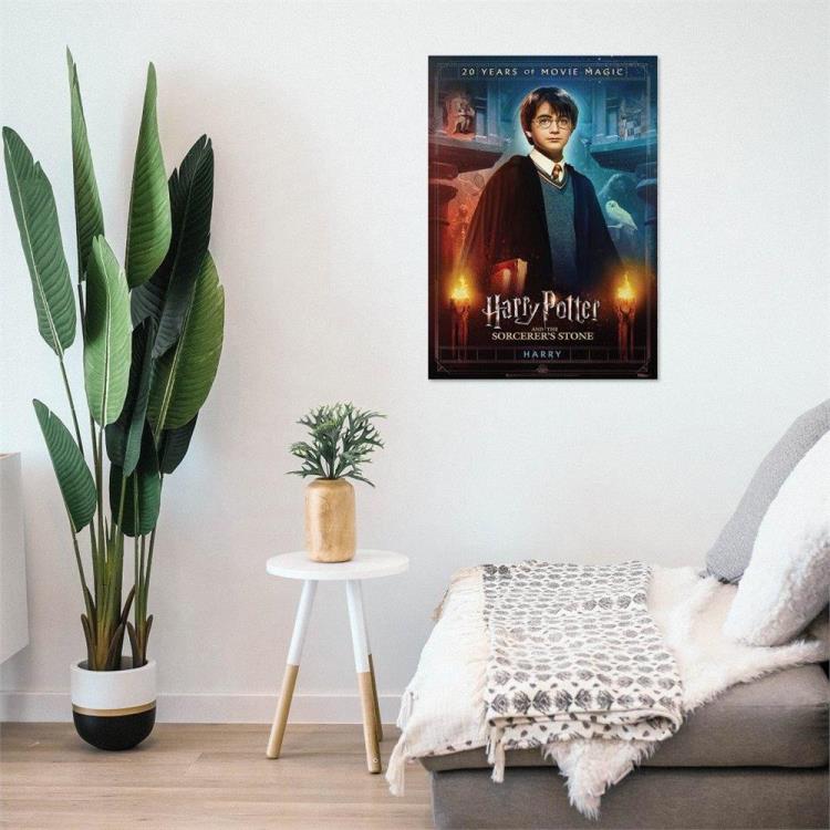 Harry Potter and the Sorcerer's Stone (Harry Movie Poster 20th Anniversary) MightyPrint Wall Art Gallery Image 3