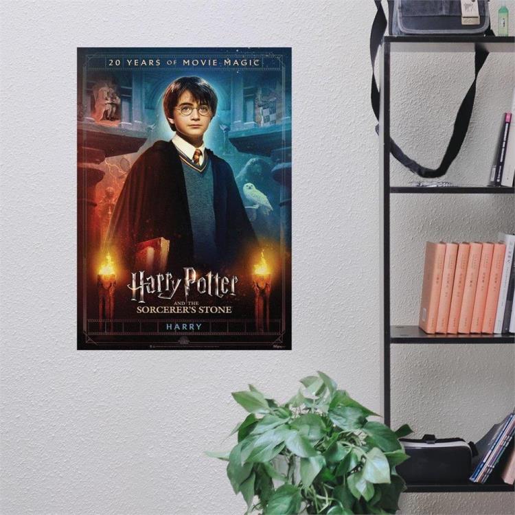 Harry Potter and the Sorcerer's Stone (Harry Movie Poster 20th Anniversary) MightyPrint Wall Art Gallery Image 4