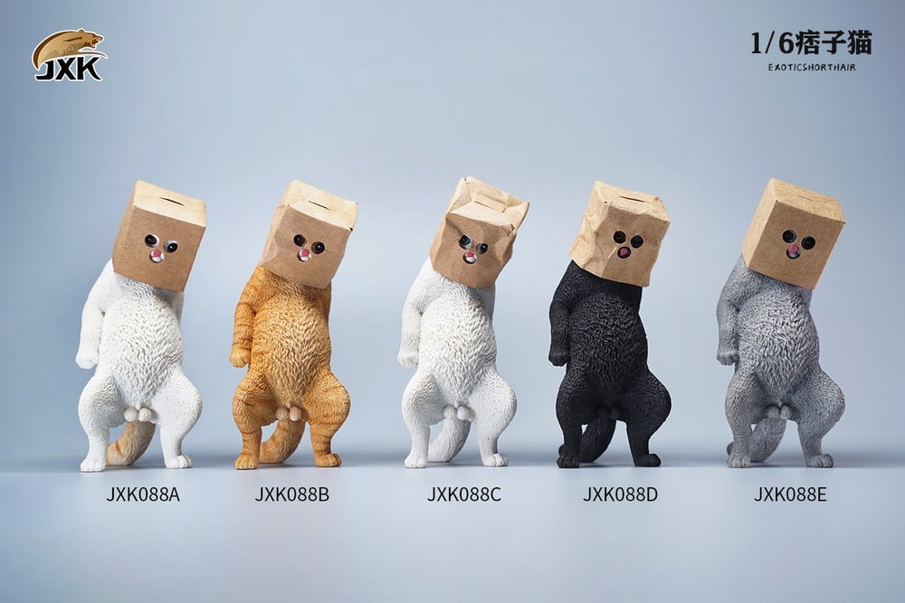 Exotic Shorthair Cat (Ver. D) 1/6 Scale Figure Gallery Image 6