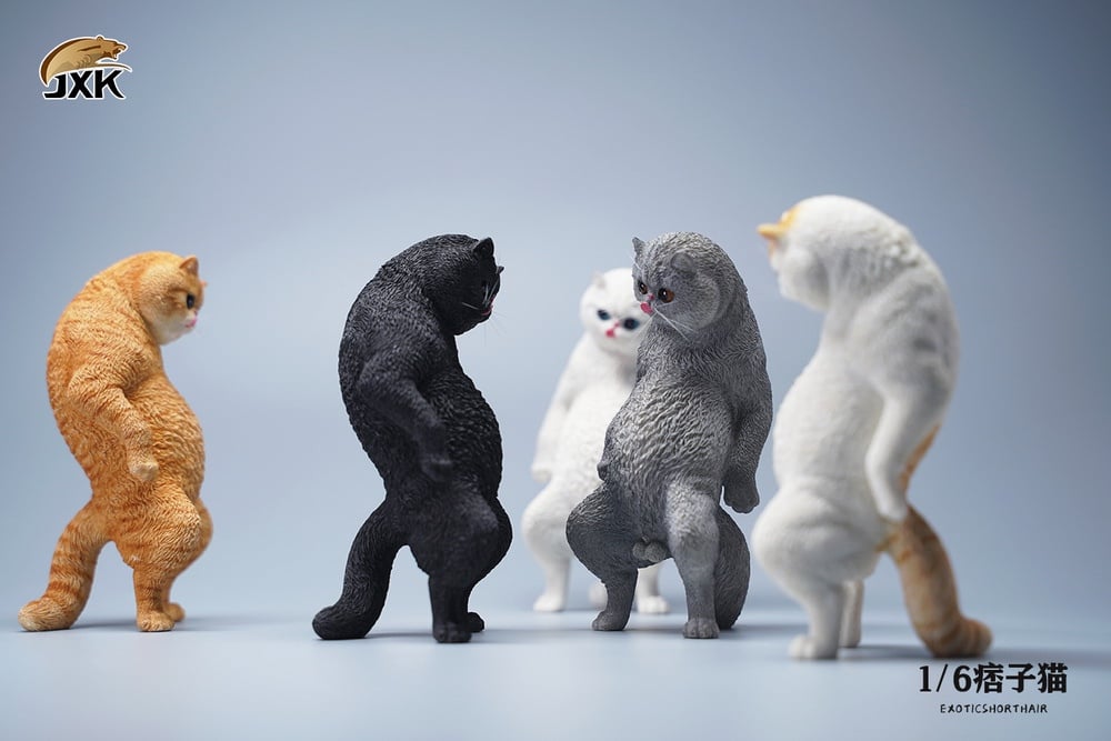 Exotic Shorthair Cat (Ver. D) 1/6 Scale Figure Gallery Image 4