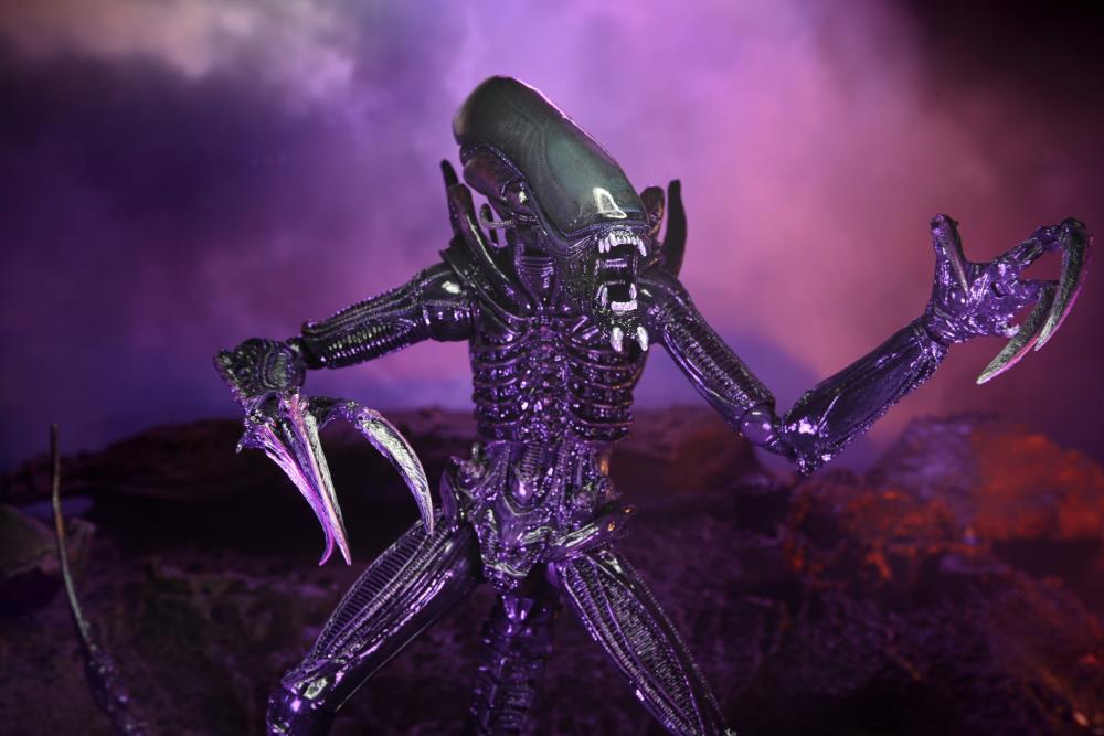 Alien vs. Predator Razor Claws (Movie Deco) Figure Gallery Image 8