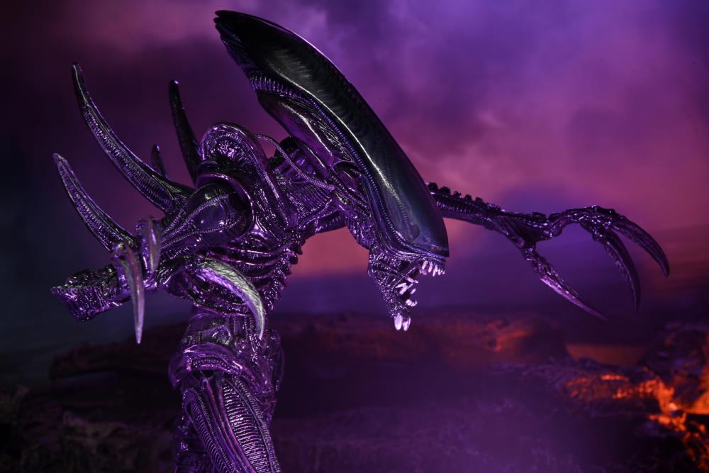 Alien vs. Predator Razor Claws (Movie Deco) Figure Gallery Image 9
