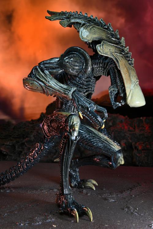Alien vs. Predator Chrysalis (Movie Deco) Figure Gallery Image 8