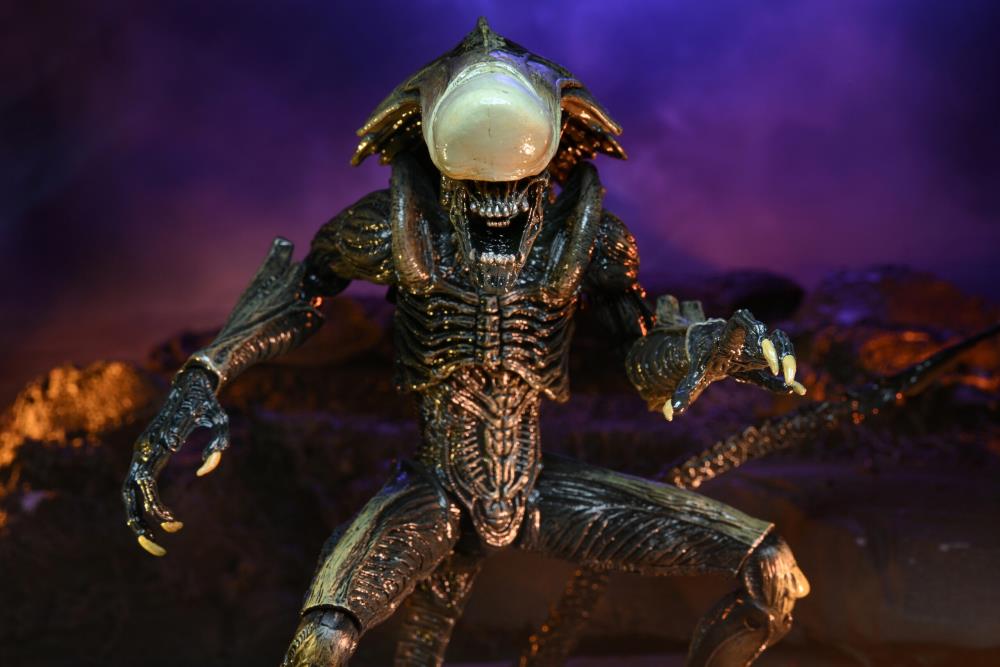 Alien vs. Predator Chrysalis (Movie Deco) Figure Gallery Image 11