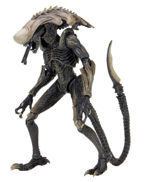 Alien vs. Predator Chrysalis (Movie Deco) Figure Gallery Image 13