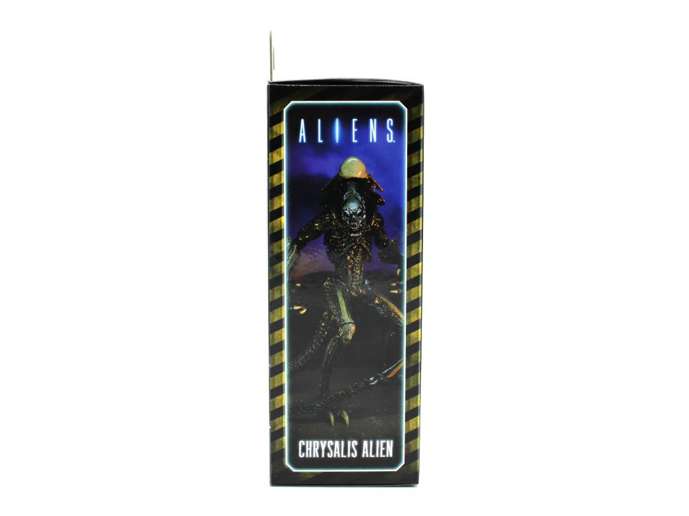Alien vs. Predator Chrysalis (Movie Deco) Figure Gallery Image 15