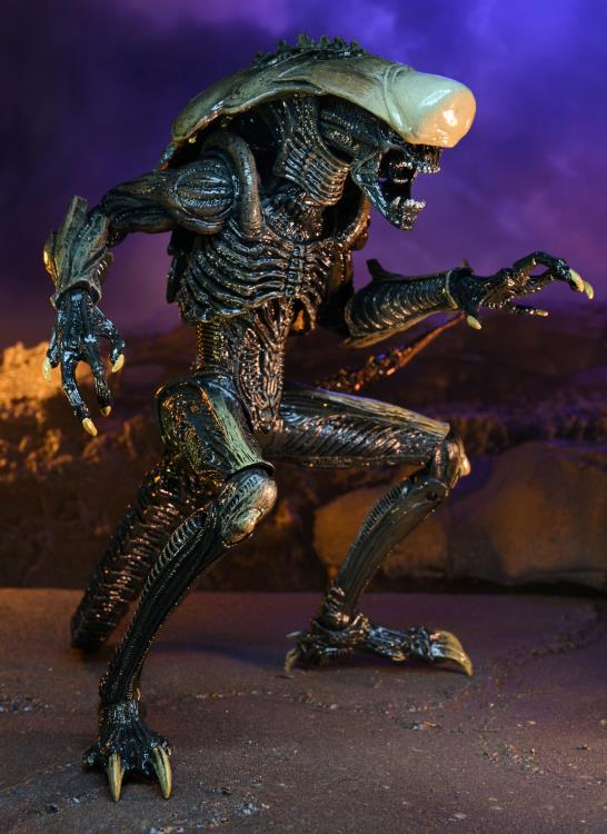 Alien vs. Predator Chrysalis (Movie Deco) Figure Gallery Image 6