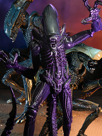 Alien vs. Predator Aliens Set of 3 Figures (Movie Deco) Gallery Image 2