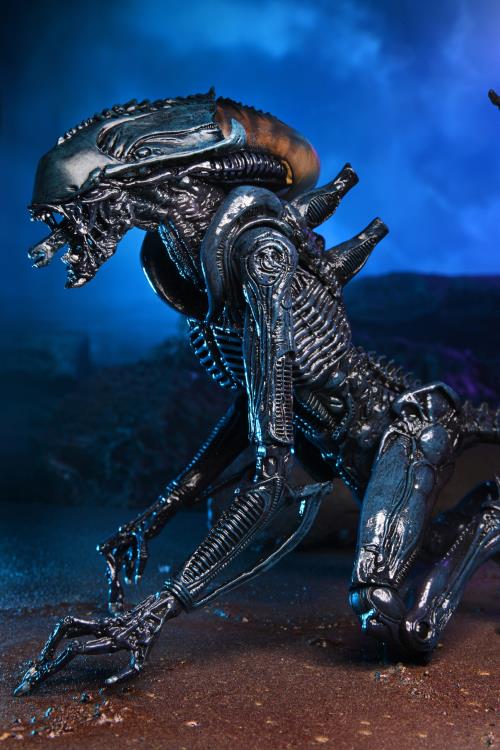 Alien vs. Predator Aliens Set of 3 Figures (Movie Deco) Gallery Image 8
