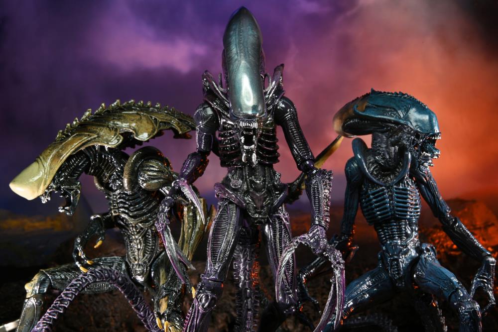 Alien vs. Predator Aliens Set of 3 Figures (Movie Deco)