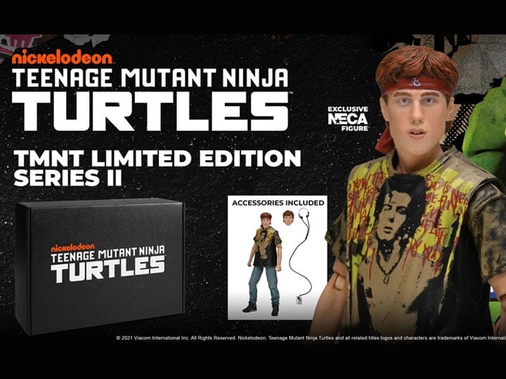 Teenage Mutant Ninja Turtles Limited Edition Series II Crate #1 Gallery Image 1