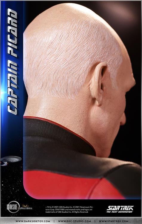 Star Trek: The Next Generation Captain Picard 1/3 Scale Limited Edition Statue Gallery Image 26