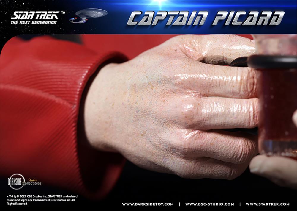 Star Trek: The Next Generation Captain Picard 1/3 Scale Limited Edition Statue Gallery Image 37