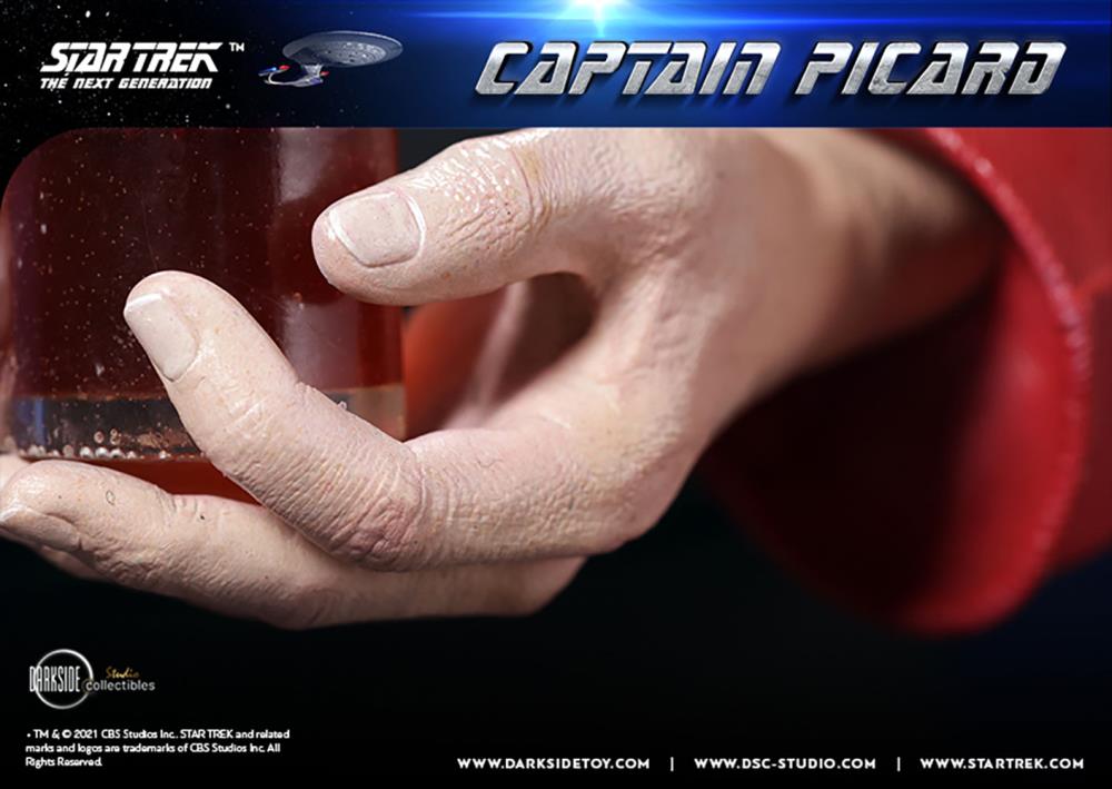 Star Trek: The Next Generation Captain Picard 1/3 Scale Limited Edition Statue Gallery Image 38