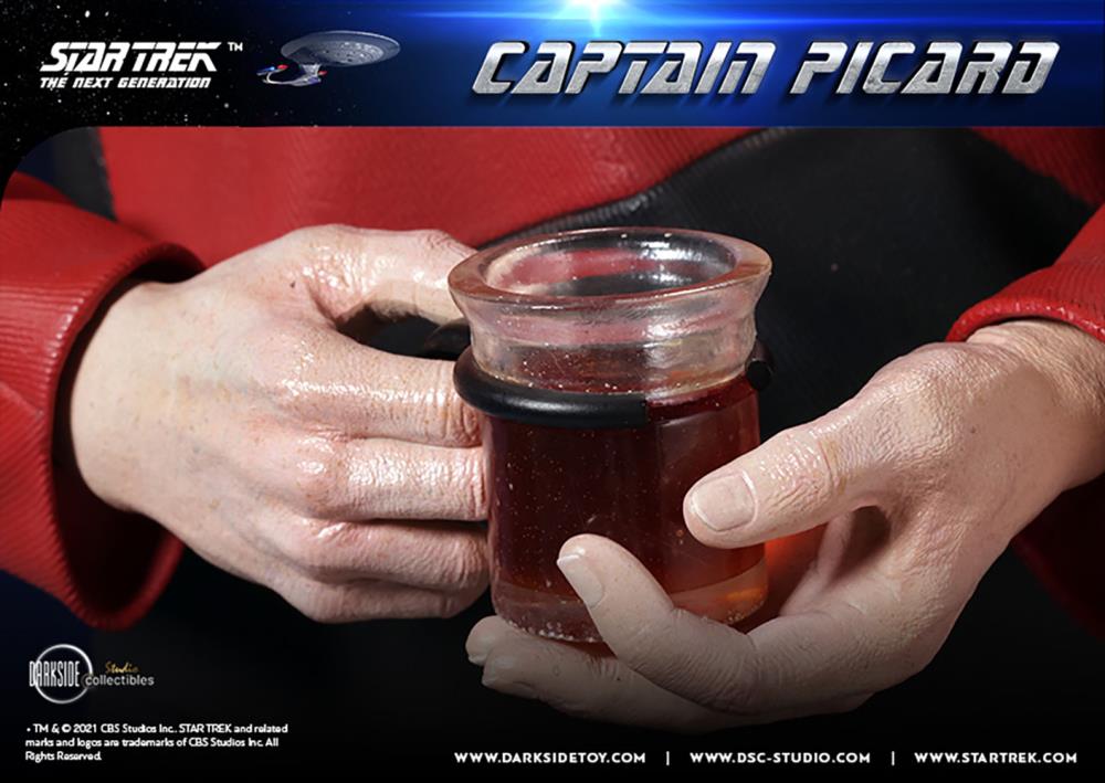 Star Trek: The Next Generation Captain Picard 1/3 Scale Limited Edition Statue Gallery Image 34