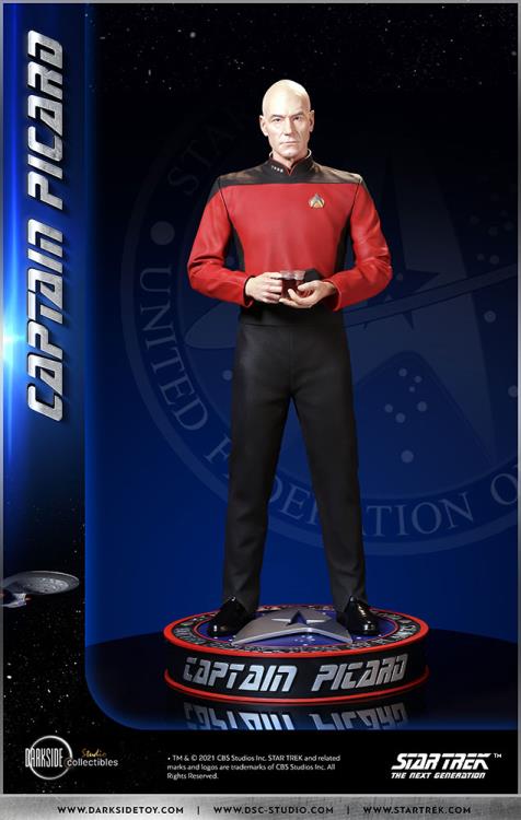 Star Trek: The Next Generation Captain Picard 1/3 Scale Limited Edition Statue Gallery Image 10