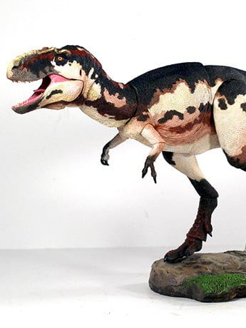 Beasts of the Mesozoic: Tyrannosaur Series Teratophoneus curriei 1