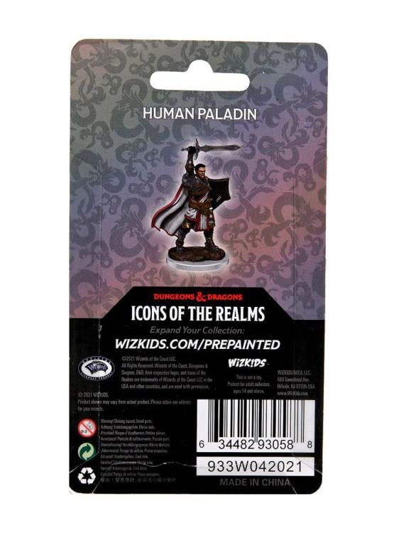 Dungeons & Dragons Icons of the Realms Human Paladin (Male) Premium Painted Figure Gallery Image 5