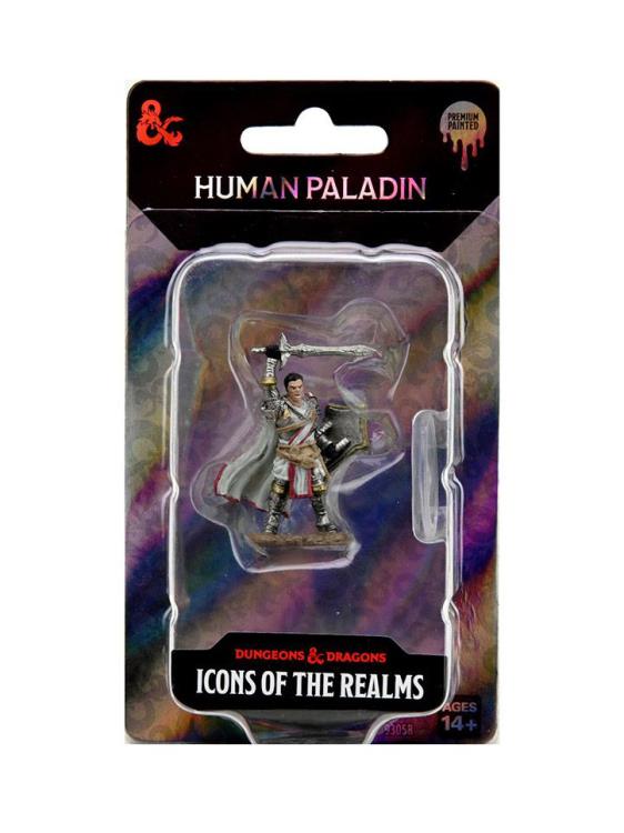 Dungeons & Dragons Icons of the Realms Human Paladin (Male) Premium Painted Figure Gallery Image 4