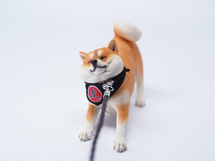 Rebellious Shiba Inu (Ver. B1) 1/6 Scale Figure Gallery Image 1