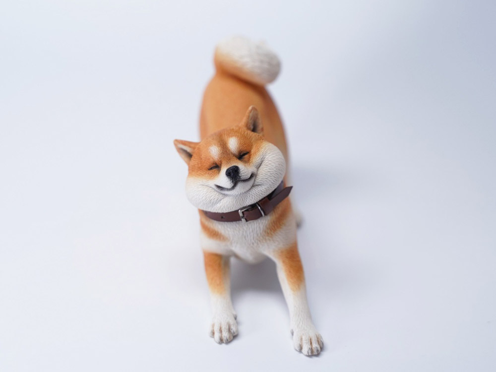 Rebellious Shiba Inu (Ver. B1) 1/6 Scale Figure Gallery Image 3