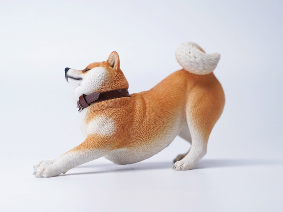 Rebellious Shiba Inu (Ver. B1) 1/6 Scale Figure Gallery Image 4